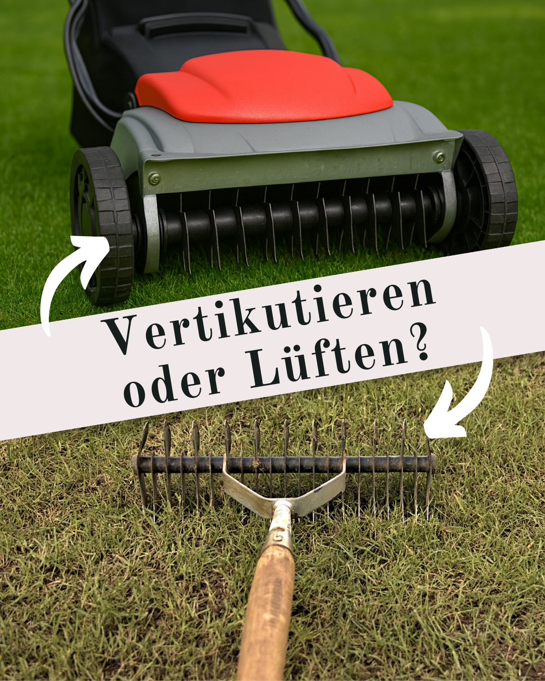 Rasen vertikutieren oder lüften – so pflegst du deinen Rasen richtig
